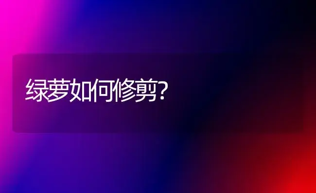 绿萝如何修剪？ | 植物问答