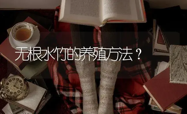 无根水竹的养殖方法？ | 植物问答