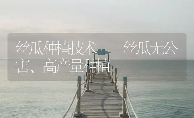 丝瓜种植技术--丝瓜无公害、高产量种植 | 植物百科