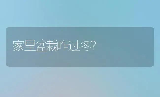 家里盆栽咋过冬？ | 植物科普