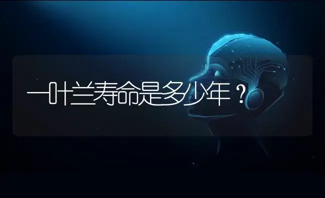 一叶兰寿命是多少年？ | 植物问答