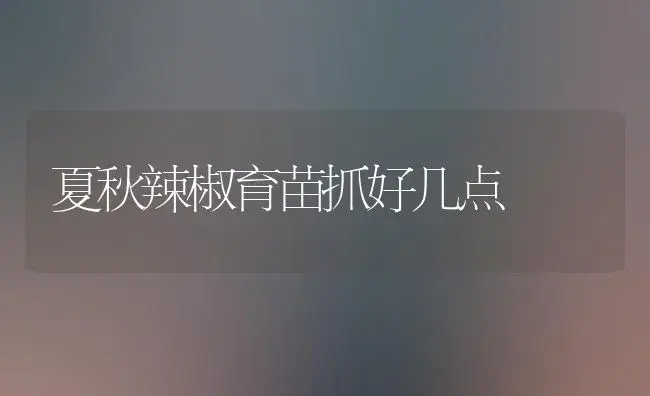 夏秋辣椒育苗抓好几点 | 植物百科