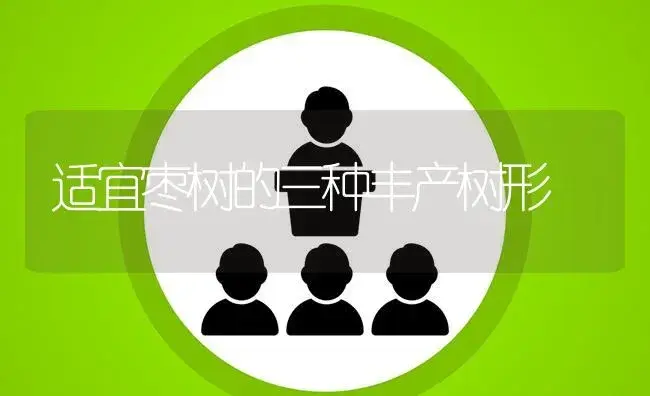 罗汉松夏季管理要点 | 植物知识