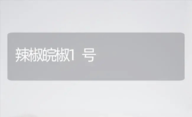 辣椒皖椒1号 | 植物百科
