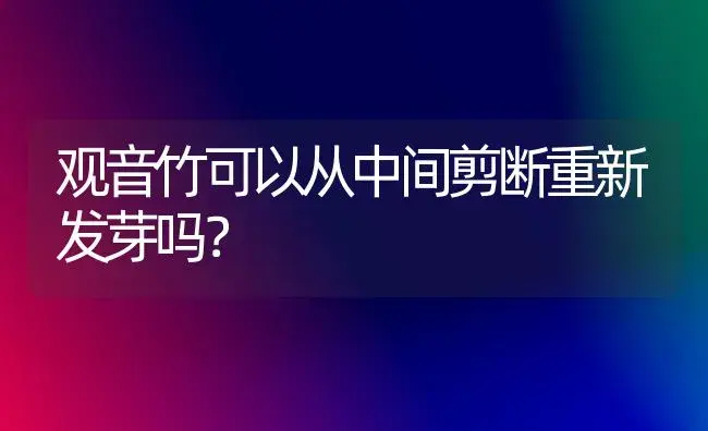 观音竹可以从中间剪断重新发芽吗？ | 植物问答