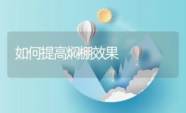 如何提高焖棚效果 | 植物资料