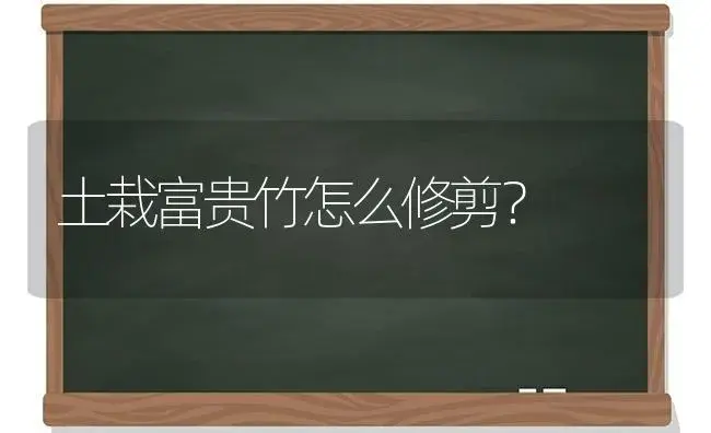 土栽富贵竹怎么修剪？ | 植物问答