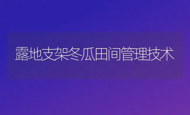 露地支架冬瓜田间管理技术 | 植物百科