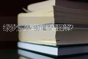 绿萝怎么繁殖步骤图解？