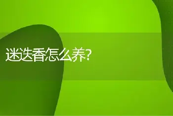 迷迭香怎么养？