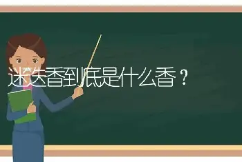 迷迭香到底是什么香？