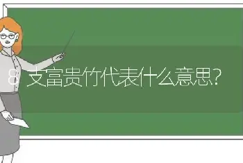 8支富贵竹代表什么意思？