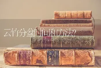 云竹分盆时间和方法？