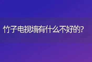 竹子电视墙有什么不好的？