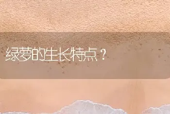 绿萝的生长特点？