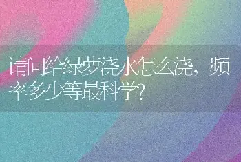 请问给绿萝浇水怎么浇，频率多少等最科学？