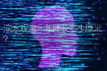 滴水观音一年能长多少厘米？