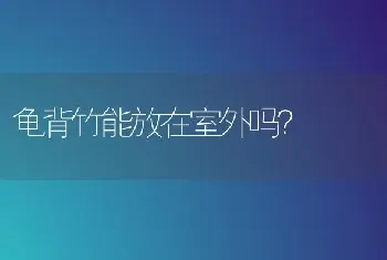 龟背竹能放在室外吗？