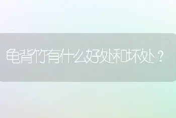 龟背竹有什么好处和坏处？