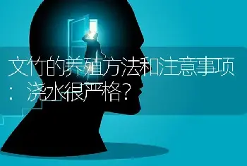 文竹的养殖方法和注意事项:浇水很严格？