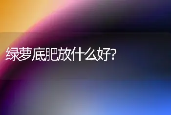 绿萝底肥放什么好？