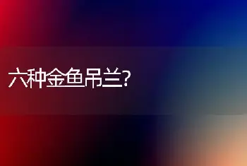 六种金鱼吊兰？