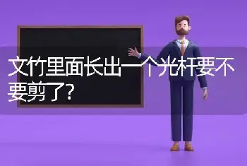 文竹里面长出一个光杆要不要剪了？