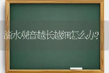 滴水观音越长越细怎么办？