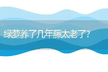 绿萝养了几年藤太老了？