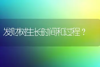 发财树生长时间和过程？