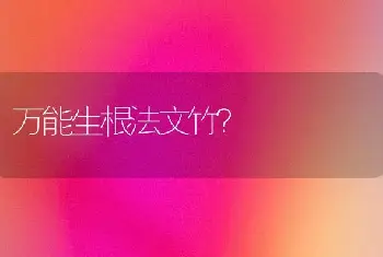 万能生根法文竹？