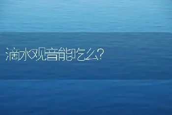 滴水观音能吃么？