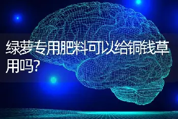 绿萝专用肥料可以给铜钱草用吗？