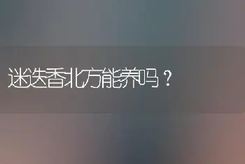 迷迭香北方能养吗？