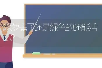 绿萝蔫了还是绿色的还能活么？