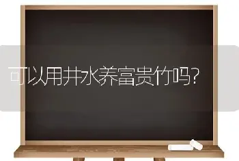 可以用井水养富贵竹吗？