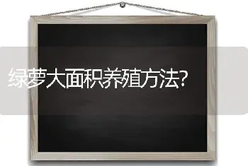 绿萝大面积养殖方法？