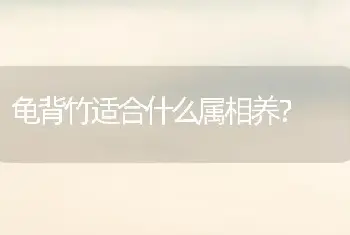 龟背竹适合什么属相养？