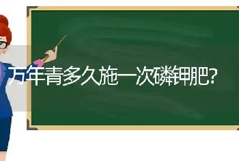 竹子借物喻人或托物言志的语句？