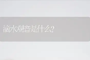 滴水观音是什么？