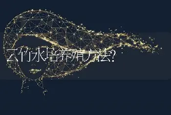 云竹水培养殖方法？