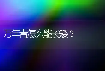 万年青怎么能长矮？