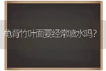 龟背竹叶面要经常喷水吗？