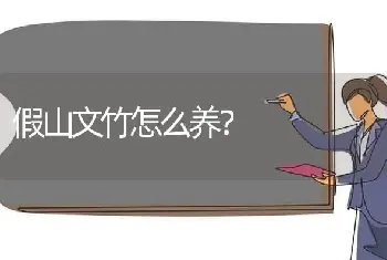 假山文竹怎么养？