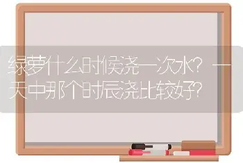 绿萝什么时候浇一次水？一天中那个时辰浇比较好？