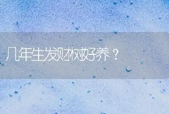 几年生发财树好养？