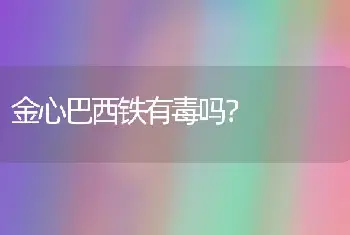 金心巴西铁有毒吗？