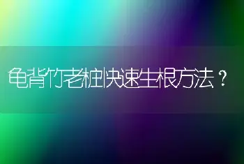 龟背竹老桩快速生根方法？