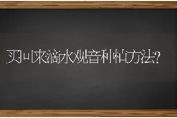 买回来滴水观音种植方法？