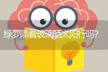 绿萝隔着玻璃晒太阳行吗？